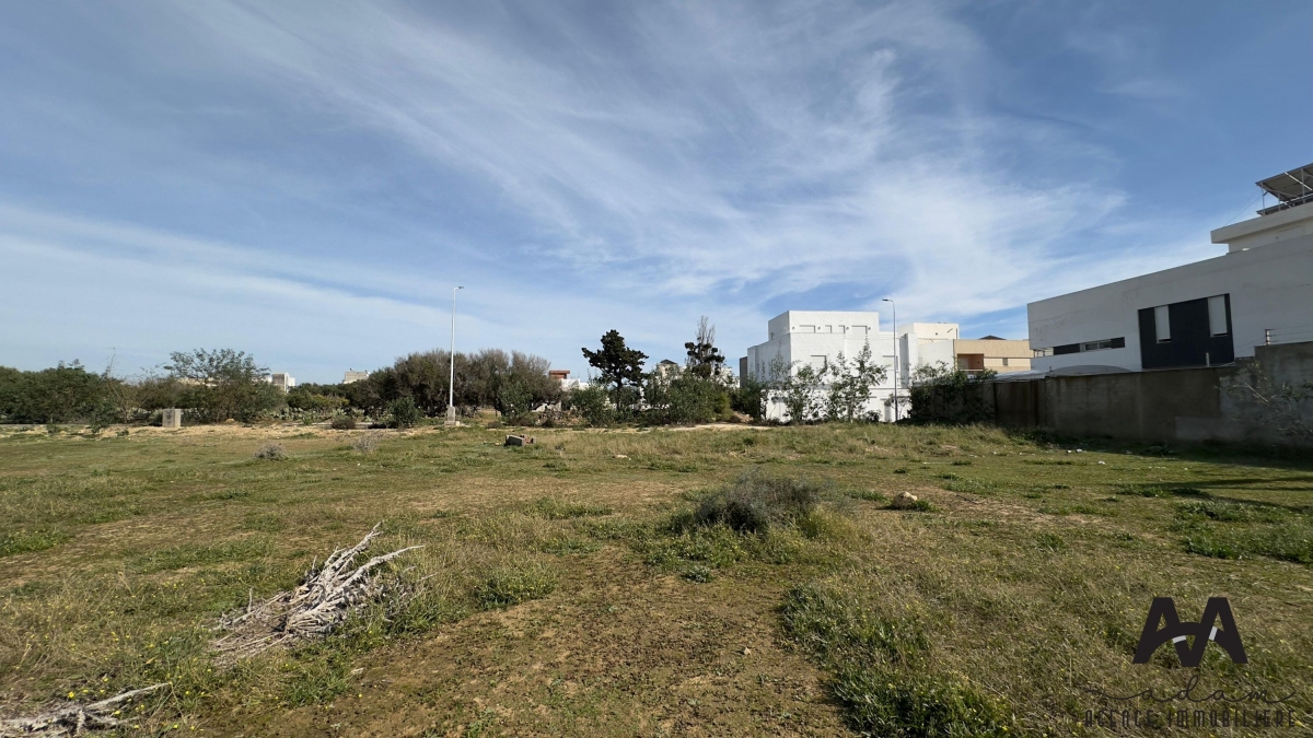 Image 372012