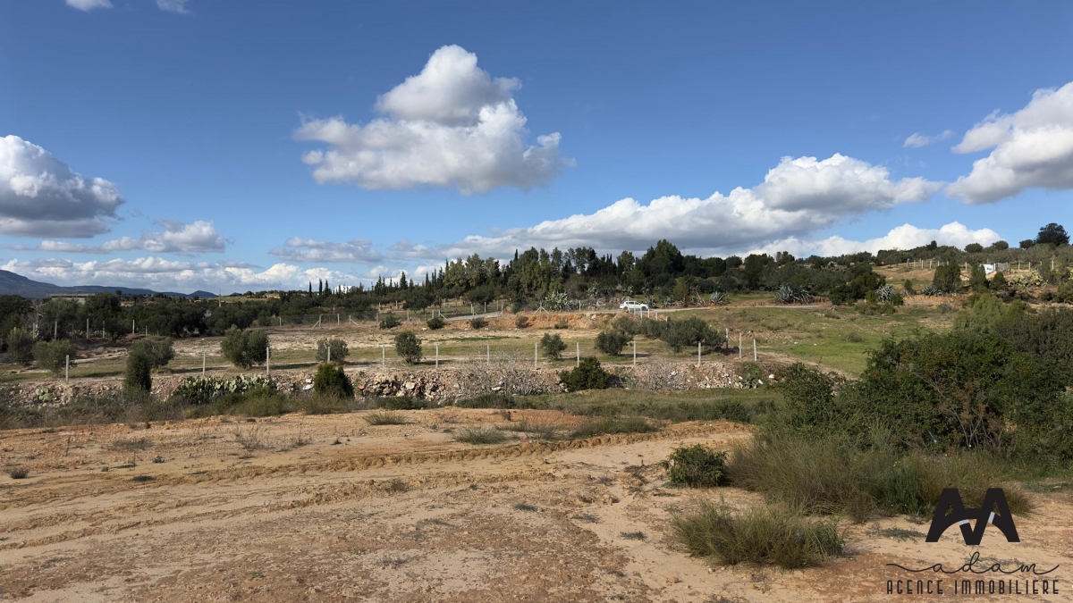 Terrain agricole de 2033 m² à Beni Ouail