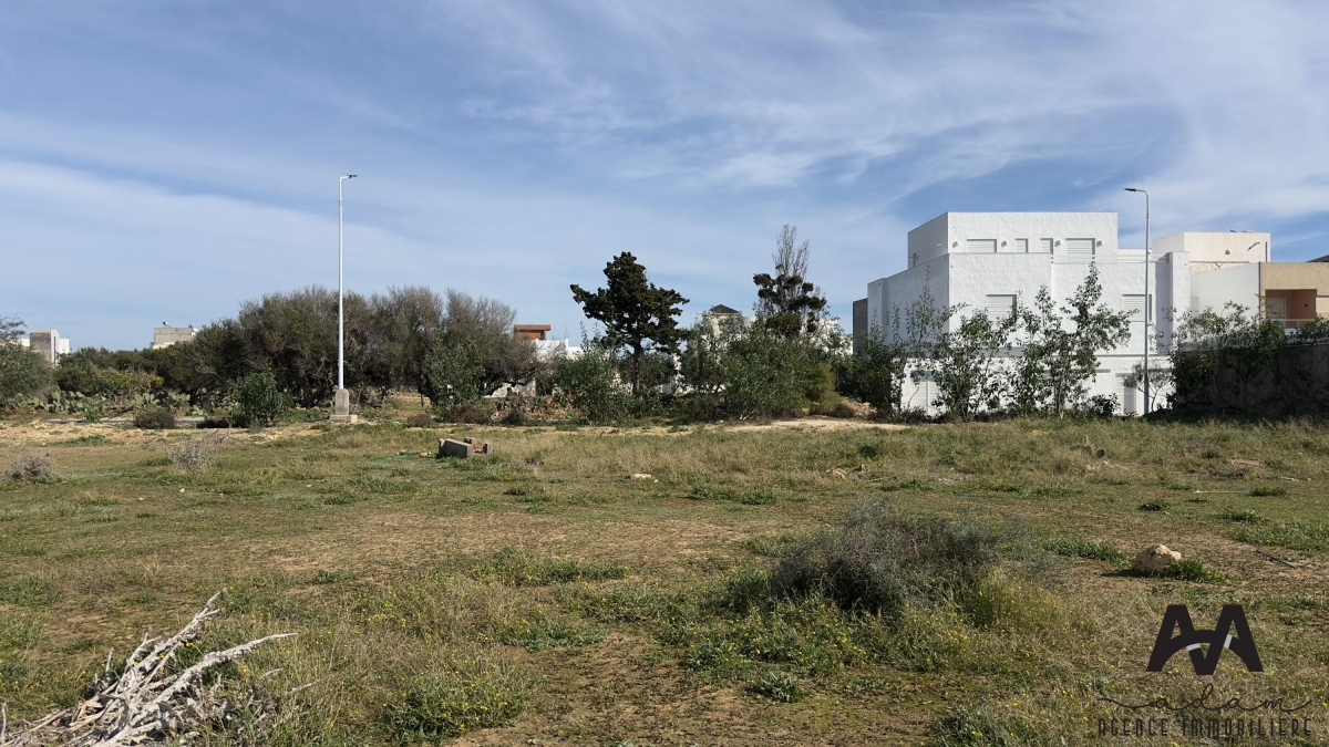 Image 372013