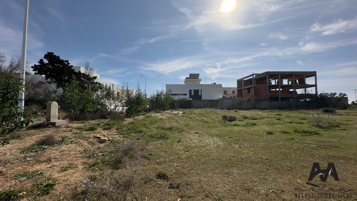 Image 372014