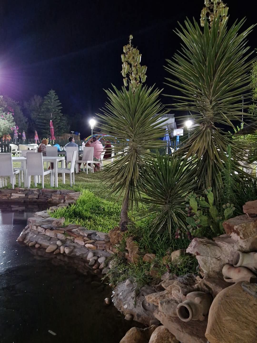 Parc de loisirs ( Montazh )