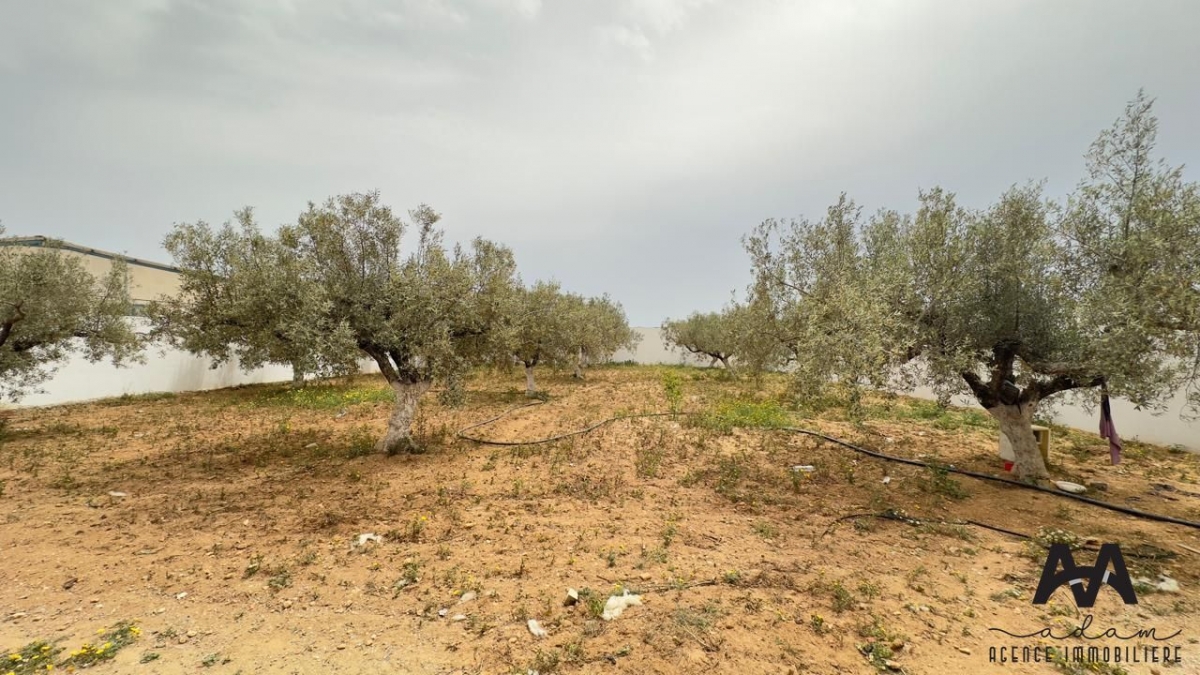 Image 372150