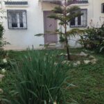 S+1 meublée avec jardin à La Marsa les pins