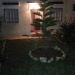 Photo-4 : S+1 meublée avec jardin à La Marsa les pins