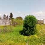 Photo-12 : Villa 400m² avec un terrain 3000 m²