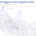 Photo-1 : Bien immobilier 3 en 1 : Deux maisons et deux locaux