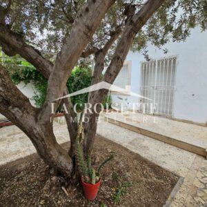 Duplex S+3 avec jardin à La Marsa MDL0650