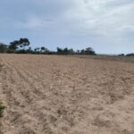 Photo-6 : Terrain constructible à Maaoura plage