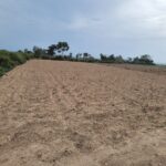 Photo-7 : Terrain constructible à Maaoura plage
