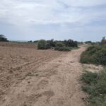 Photo-8 : Terrain constructible à Maaoura plage