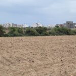 Photo-12 : Terrain constructible à Maaoura plage