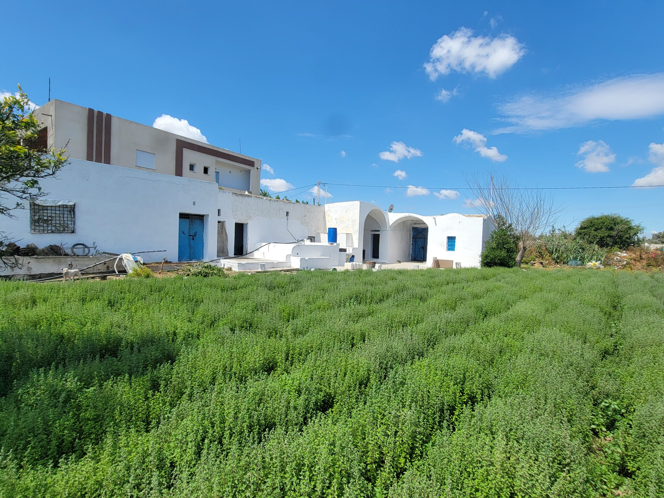 Exceptional Building Plot for Sale in Tazarka Beach: A Unique Opportunity!