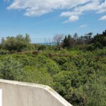 Photo-9 : Construction éclatée en 2 studios, bâtie au cœur de la campagne, sur un terrain de 4 907 m² planté d’arbres fruitiers