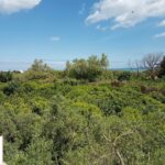 Construction éclatée en 2 studios, bâtie au cœur de la campagne, sur un terrain de 4 907 m² planté d’arbres fruitiers