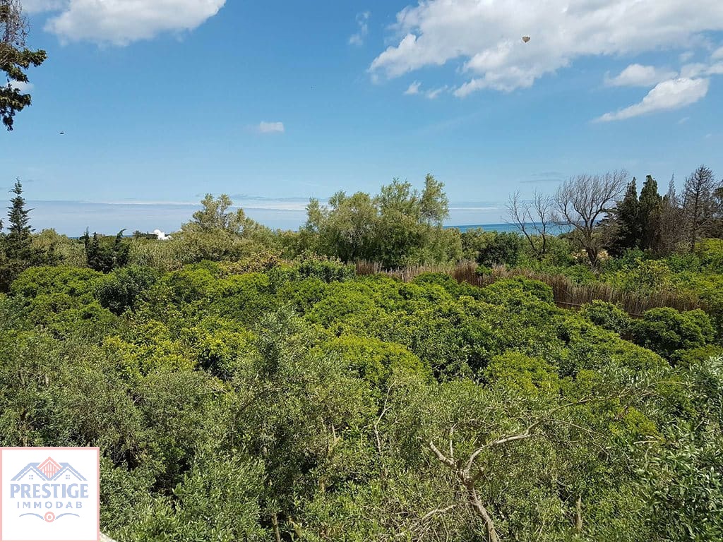 Scattered Construction of 2 Studios in Bizerte - A Haven of Peace in the Heart of the Countryside