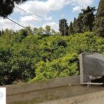 Photo-13 : Construction éclatée en 2 studios, bâtie au cœur de la campagne, sur un terrain de 4 907 m² planté d’arbres fruitiers