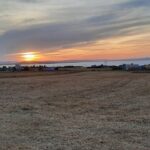 Photo-2 : Terrain 1000 m² – Proche Menzel Bourguiba