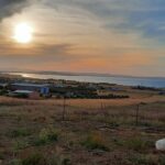 Photo-1 : Terrain 1000 m² – Proche Menzel Bourguiba