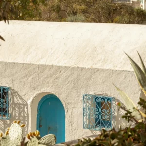 Immobilier Tunisie