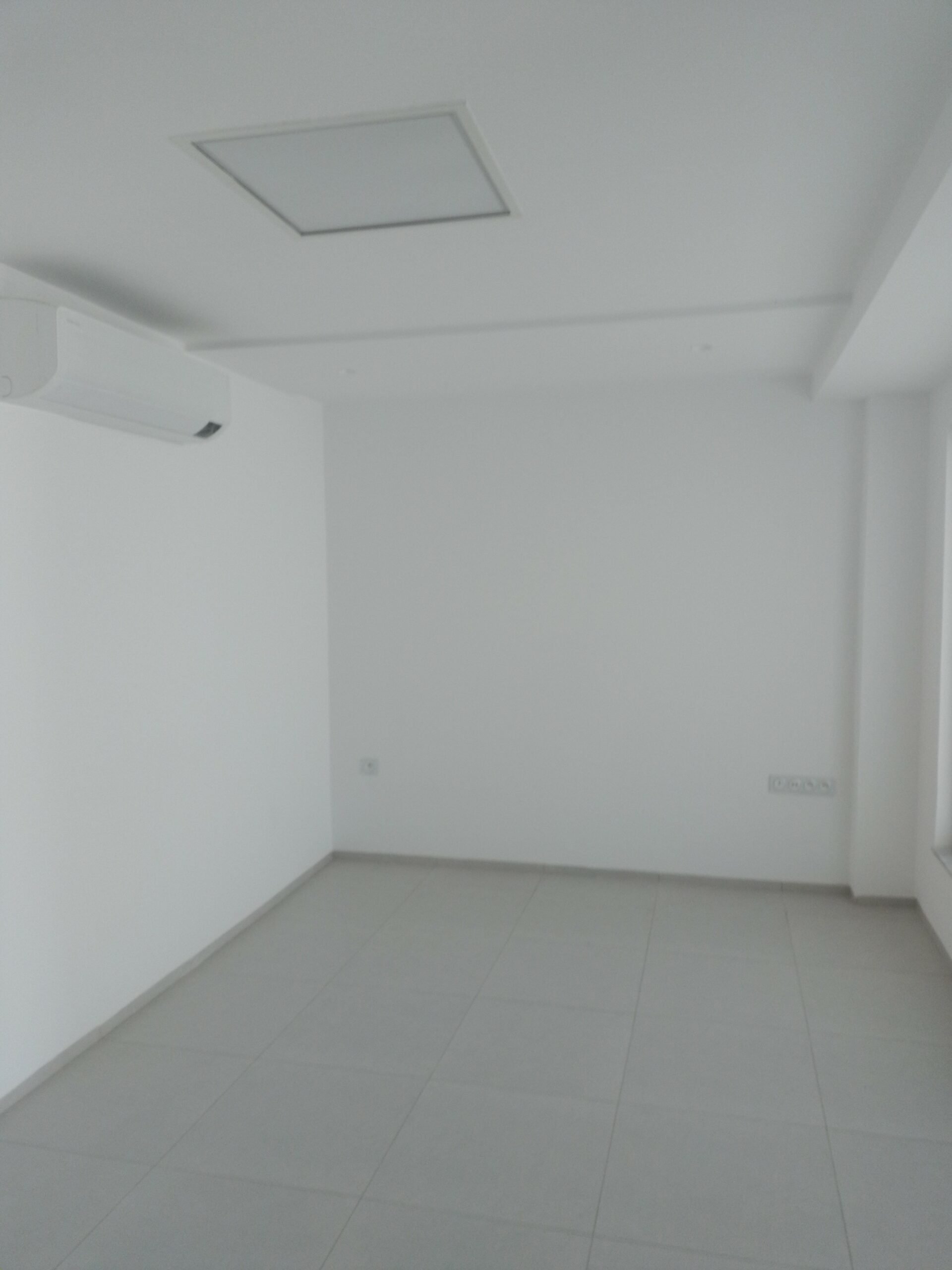 Image 377812