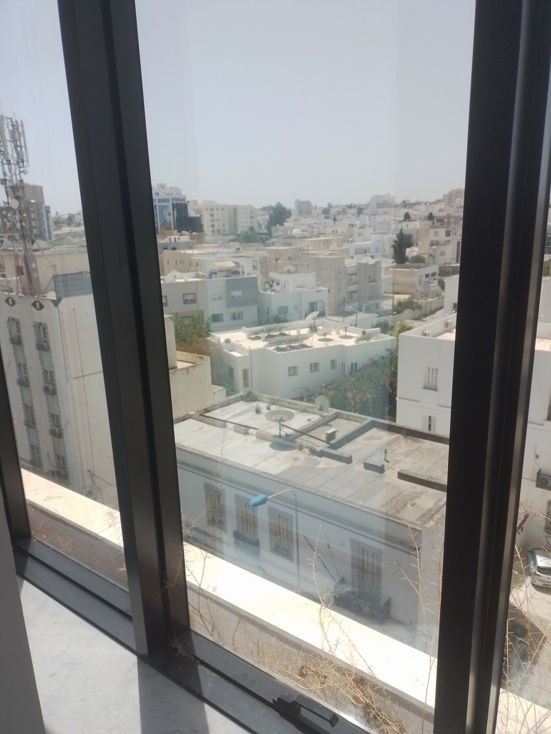Image 377814