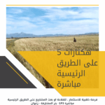 5 Hectares Bir Mchergua
