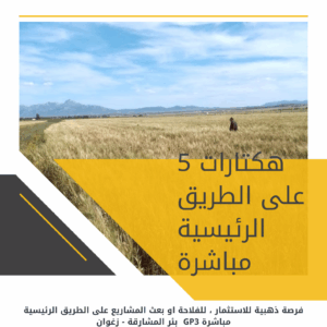 5 Hectares Bir Mchergua