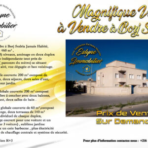 Magnifique villa jamais habiter à Borj Cedria