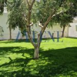 Photo-3 : Villa aux Jardins de Carthage avec piscine