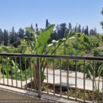 Photo-2 : Appartement S3 à La Soukra