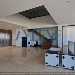 Penthouse avec piscine au Lac 2