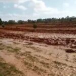 Photo-2 : Terrain agricole entièrement équipé et planté d’oliviers à Sfax