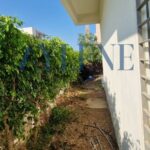 Photo-8 : S2 avec suite aux Jardins de Carthage et jardin