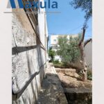 Photo-13 : VILLA S+3 À RÉNOVER À BEN AROUS