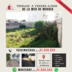 TERRAINS À MAHDIA POUR PROMOTEUR IMMOBILIER TITRE BLEU