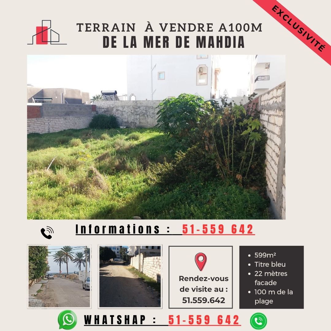 TERRAINS à MAHDIA POUR PROMOTEUR IMMOBILIER TITRE BLEU
