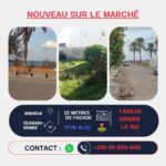 Photo-1 : TERRAINS à MAHDIA POUR PROMOTEUR IMMOBILIER TITRE BLEU