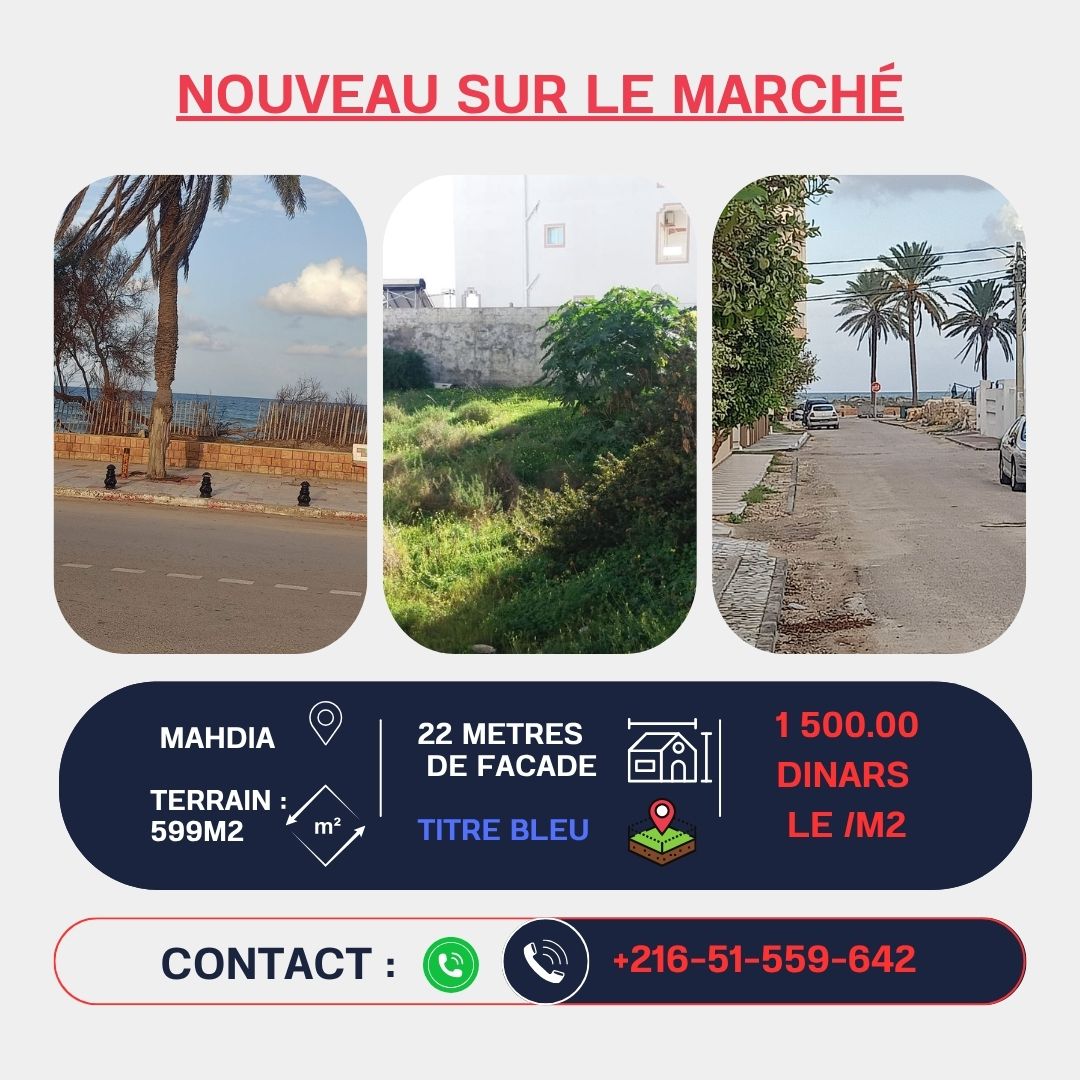 TERRAINS à MAHDIA POUR PROMOTEUR IMMOBILIER TITRE BLEU