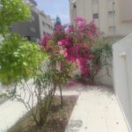 Photo-7 : Duplex S+5 au LAC 2