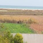 Photo-1 : Villa S4 avec Piscine et grand jardin vue sur mer