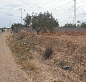 TERRAIN 2 730 EL MAY DJERBA 4175 SUR ROUTE