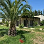 Photo-1 : Villa en S3 avec Piscine et Jardin à Gammarth