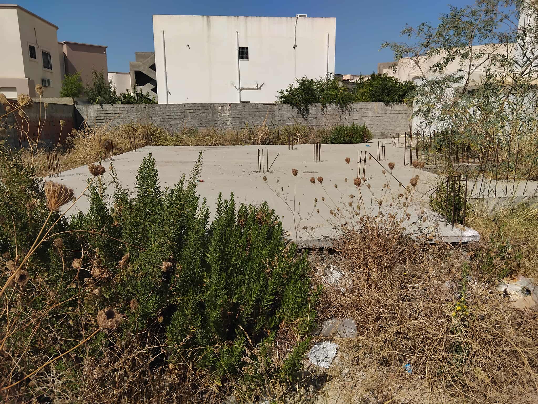 Exceptional Plot with Foundations in Borj Cedria