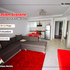 S+1 en plein zone touristique