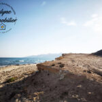 Photo-1 : Terrain agricole de 39383m², au bord de la mer pieds dans l’eau