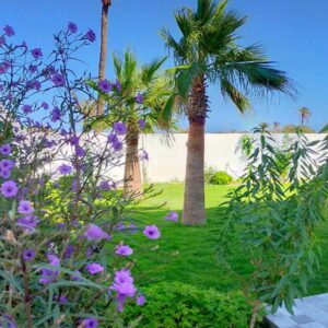 Villa neuve à Arkou Midoun, avec piscine et sans vis a vis