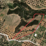 Terrain à Rtiba Takelsa Route Haouaria pour investissement maison de campagne