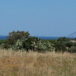 Photo-5 : Terrain à Rtiba Takelsa Route Haouaria pour investissement maison de campagne