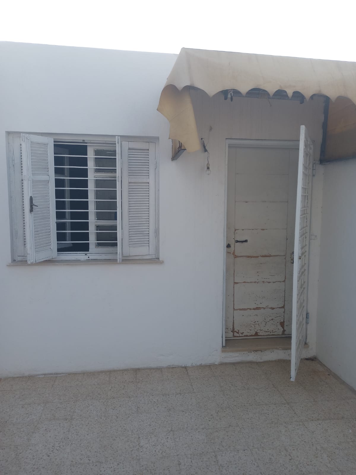 Image 389678