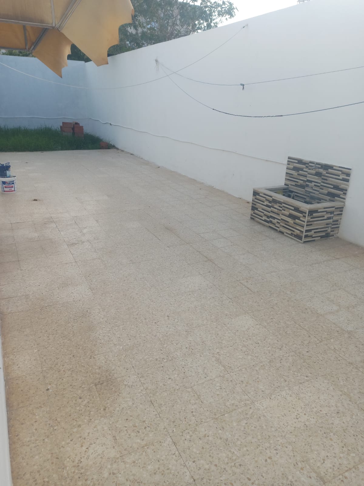 Image 389675